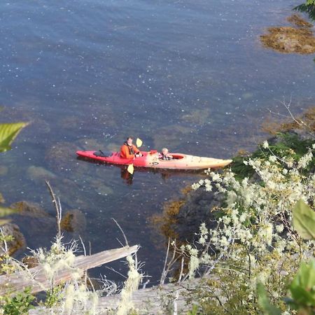 Cygnet Cove Suites Ucluelet Room photo